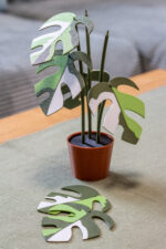 Monstera Minima Variegata növény poháralátét szett - Image 7