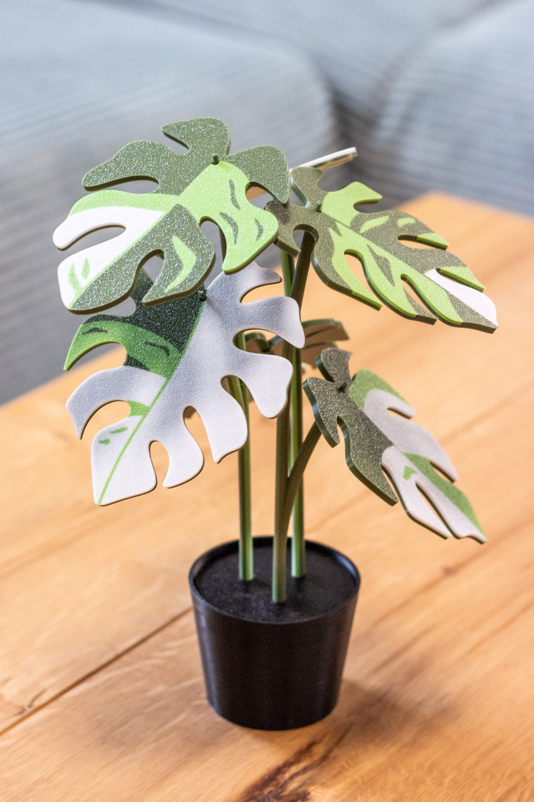 Cserepesm_Coriander_21 Monstera Variegata növény poháralátét szett - Image 1