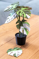 Monstera Variegata növény poháralátét szett - Image 4