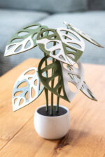 Monstera Adansonii Variegata növény poháralátét szett - Image 2